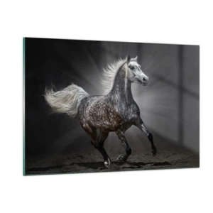 Impression sur verre - Image sur verre - Un cheval au galop sur un fond sombre avec un effet d'éclairage. - 120x80cm - Le gris est beau - Décoration murale moderne pour le salon et la chambre ARTTOR