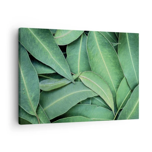 Impression sur toile - Image sur toile - Gros plan de feuilles vertes créant un motif naturel - 70x50cm - Juteux et frais - Décoration murale moderne pour le salon et la chambre ARTTOR