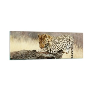 Impression sur verre - Image sur verre - Je suis ma propre route - 90x30 cm