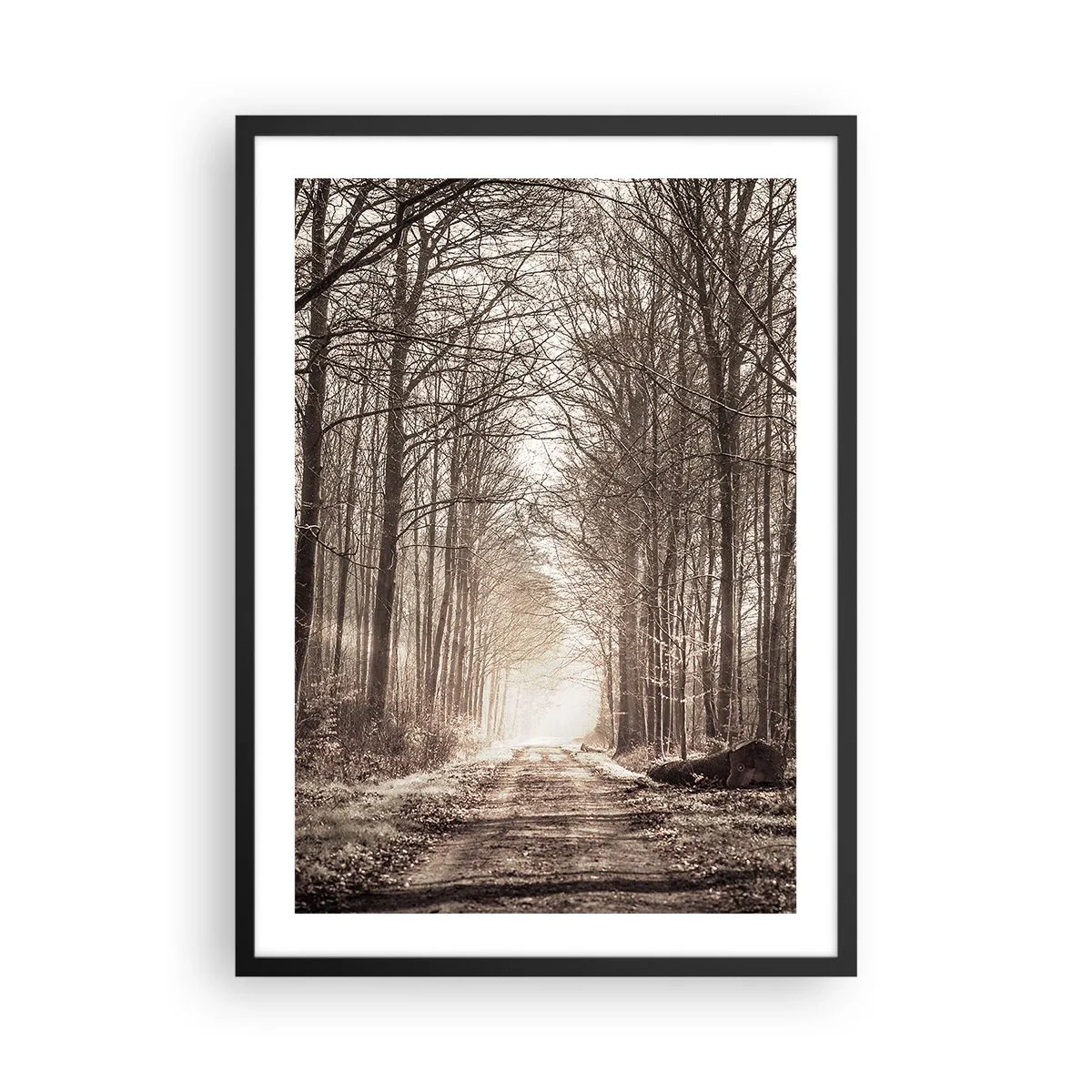 Affiche dans un cadre noir - Poster - Un chemin forestier aux tons sépia automnaux - 50x70cm - Cathédrale de la forêt - Décoration murale moderne pour le salon et la chambre ARTTOR