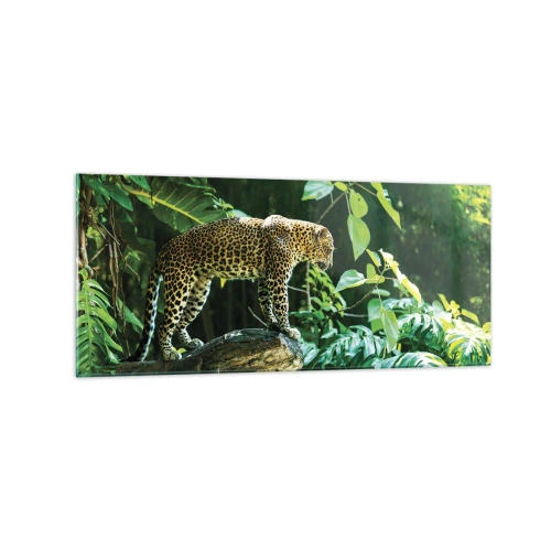 Impression sur verre - Image sur verre - Un léopard debout sur un rocher entouré de végétation tropicale - 120x50cm - À la chasse? - Décoration murale moderne pour le salon et la chambre ARTTOR