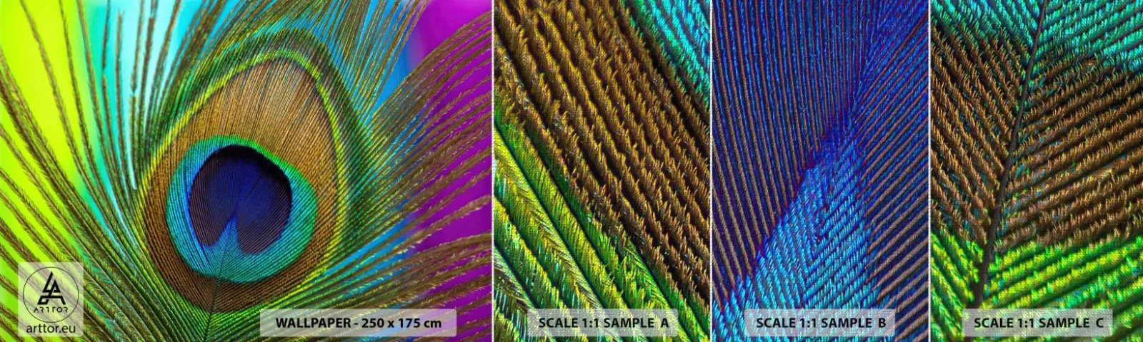 Échantillon de Papier Peint Premium Canvas - Les yeux dans les yeux - Abstraction, Plume de paon, Morceau - 100x30 cm