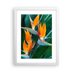 Affiche dans un cadre blanc - Poster - Est-ce une fleur, est-ce un oiseaux? - 30x40 cm