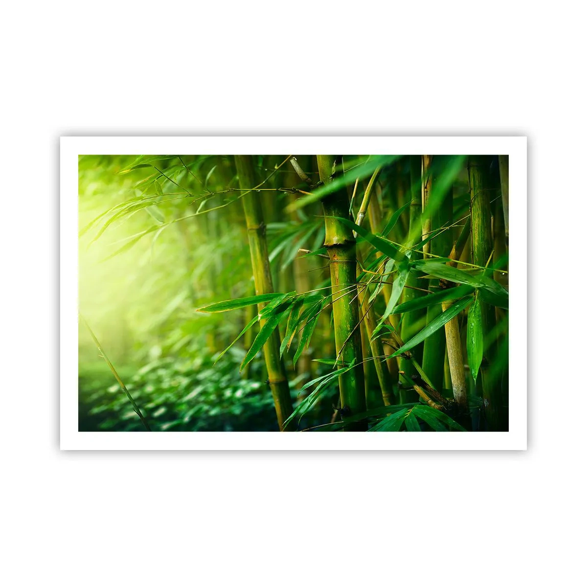 Affiche - Poster - Apprenez à connaître le vert lui-même - 91x61 cm