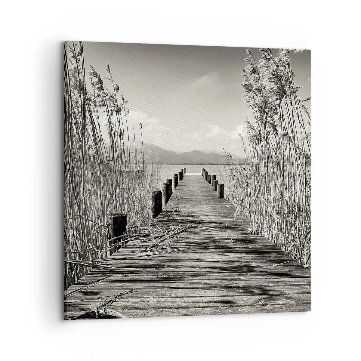 Impression sur toile - Image sur toile - Dans le calme de l'herbe - 50x50 cm