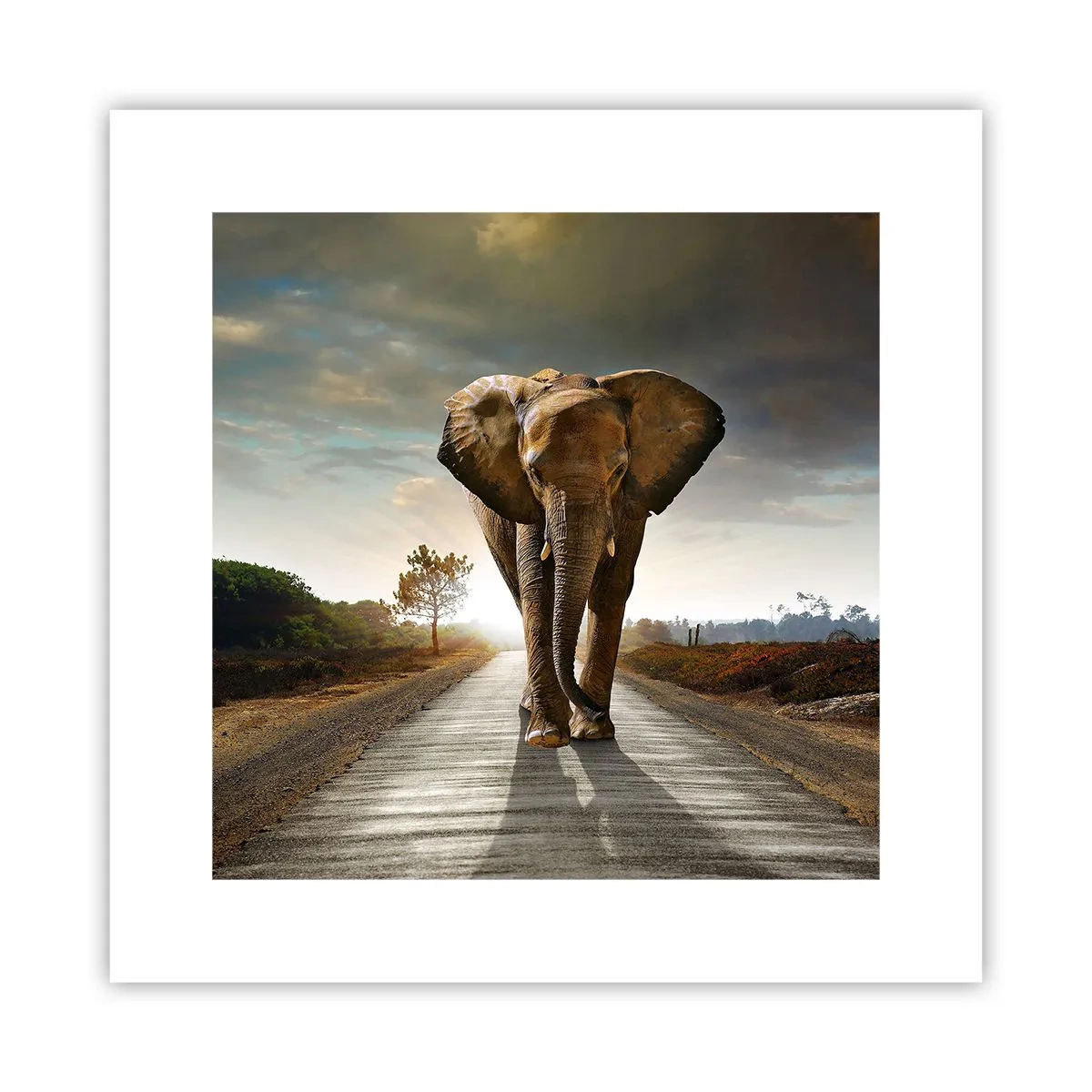 Affiche - Poster - Et pas du tout en porcelaine - 30x30 cm