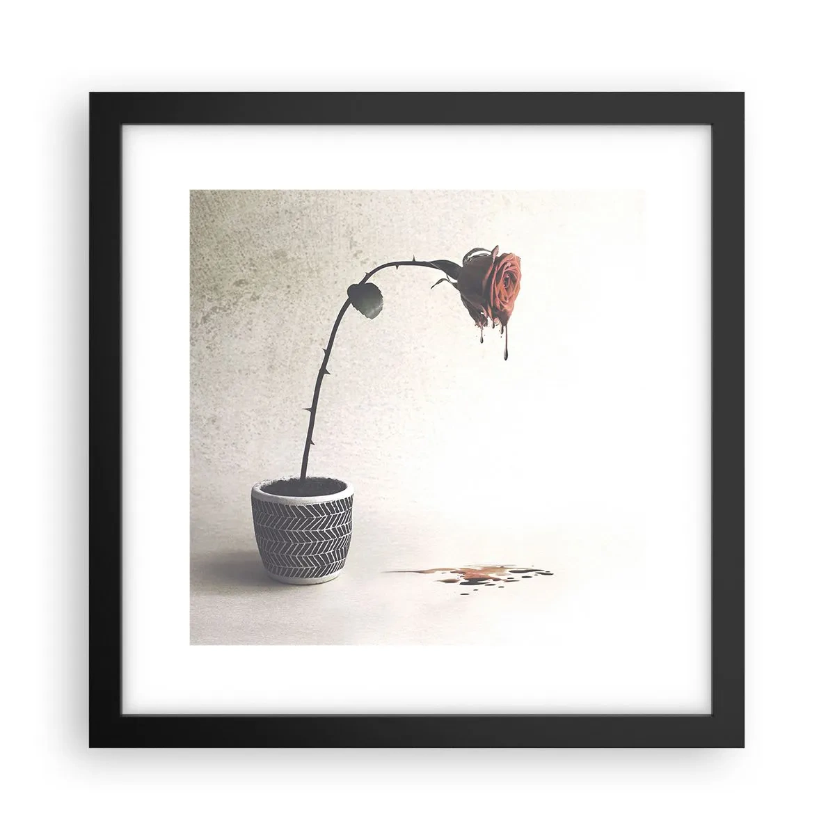 Affiche dans un cadre noir - Poster - Rosa dolorosa - 30x30 cm