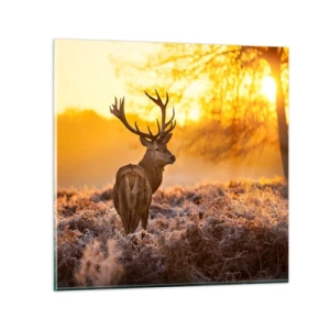 Impression sur verre - Image sur verre - Roi de la forêt automnal - 70x70 cm