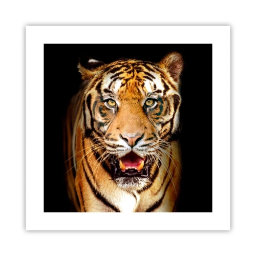 Affiche - Poster - Le coeur sauvageon - 40x40 cm