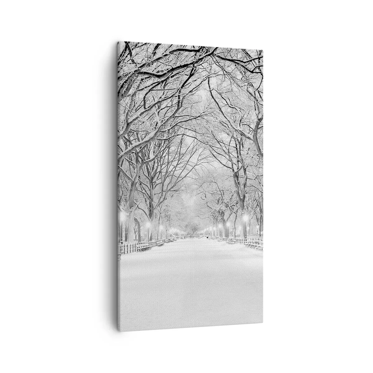 Impression sur toile - Image sur toile - Les quatres saisons – l’hiver - 45x80 cm