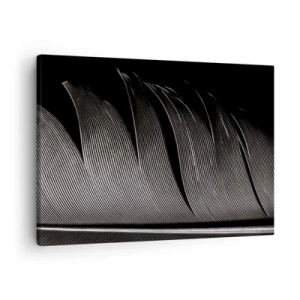 Impression sur toile - Image sur toile - Texture de plumes noires et blanches dans un style minimaliste - 70x50cm - La plume – un design magnifique - Décoration murale moderne pour le salon et la chambre ARTTOR