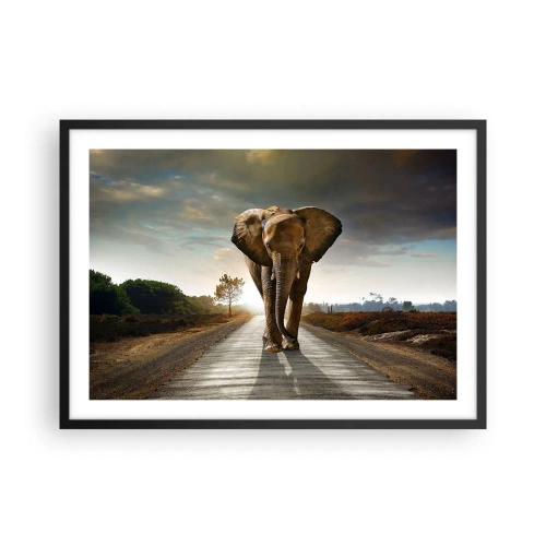 Affiche dans un cadre noir - Poster - Un éléphant marchant le long d'une route à travers un paysage au coucher du soleil - 70x50cm - Et pas du tout en porcelaine - Décoration murale moderne pour le salon et la chambre ARTTOR