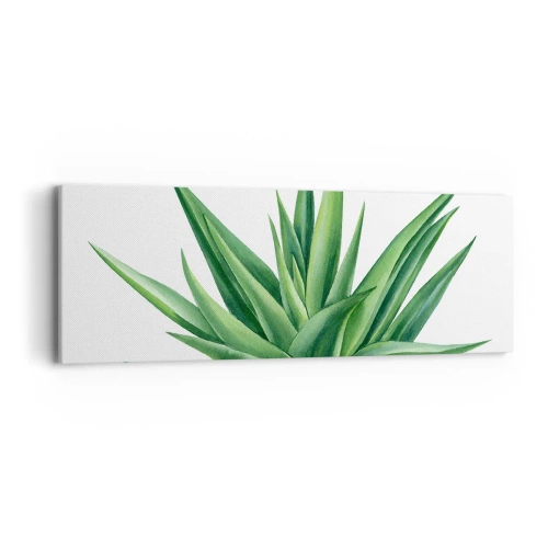 Impression sur toile - Image sur toile - Vert – force – vie - 90x30 cm