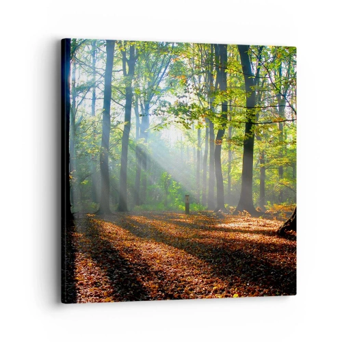 Impression sur toile - Image sur toile - Ombres et lumières - 40x40 cm