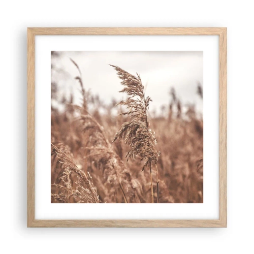 Affiche dans un chêne clair - Poster - C'est déjà l'automne dans les champs - 40x40 cm