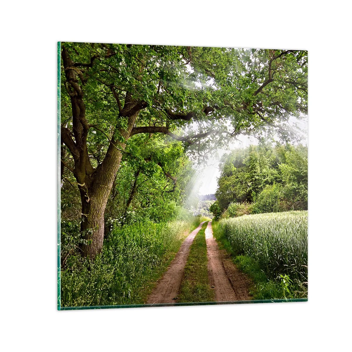 Impression sur verre - Image sur verre - Et in Arcadia ego - 40x40 cm