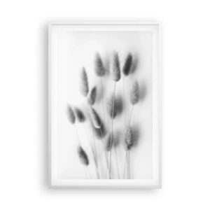 Affiche dans un cadre blanc - Poster - Son herbe duveteuse - 61x91 cm