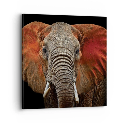 Impression sur toile - Image sur toile - Je suis sauvage, et toi? - 30x30 cm