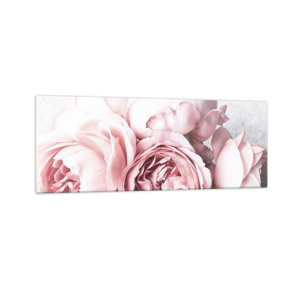 Impression sur verre - Image sur verre - Pivoines roses dans une lumière douce sur un fond clair - 140x50cm - Pour les romantiques - Décoration murale moderne pour le salon et la chambre ARTTOR