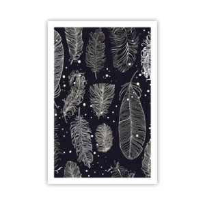 Affiche - Poster - Toile de plumes - 61x91 cm