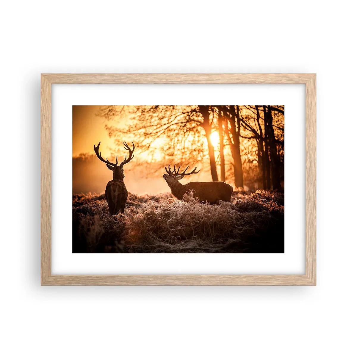 Affiche dans un chêne clair - Poster - Le rêve d'un chasseur - 40x30 cm