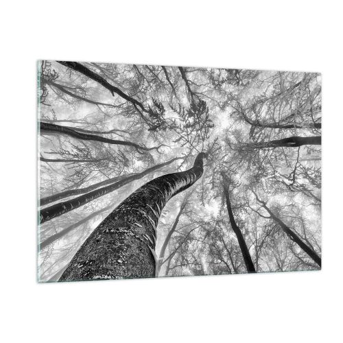 Impression sur verre - Image sur verre - Arbres en noir et blanc photographiés d'en bas vers le ciel - 120x80cm - Course vers la lumière - Décoration murale moderne pour le salon et la chambre ARTTOR