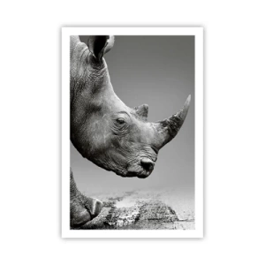 Affiche - Poster - Force inarrêtable - 61x91 cm