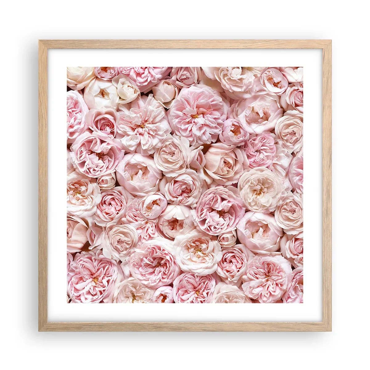 Affiche dans un chêne clair - Poster - Un lit de roses - 50x50 cm