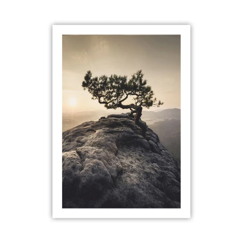 Affiche - Poster - Un arbre solitaire sur un pic rocheux à la lumière du soleil couchant - 50x70cm - La vie gagne toujours - Décoration murale moderne pour le salon et la chambre ARTTOR