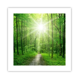 Affiche - Poster - Cathédrale verte - 40x40 cm