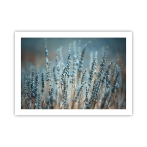 Affiche - Poster - Tige odorante - 70x50 cm
