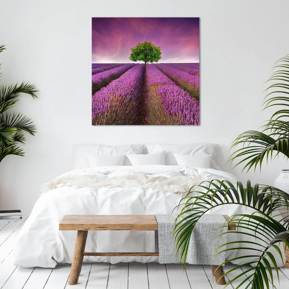 Impression sur toile - Image sur toile - Dans un champs de lavande - 50x50 cm