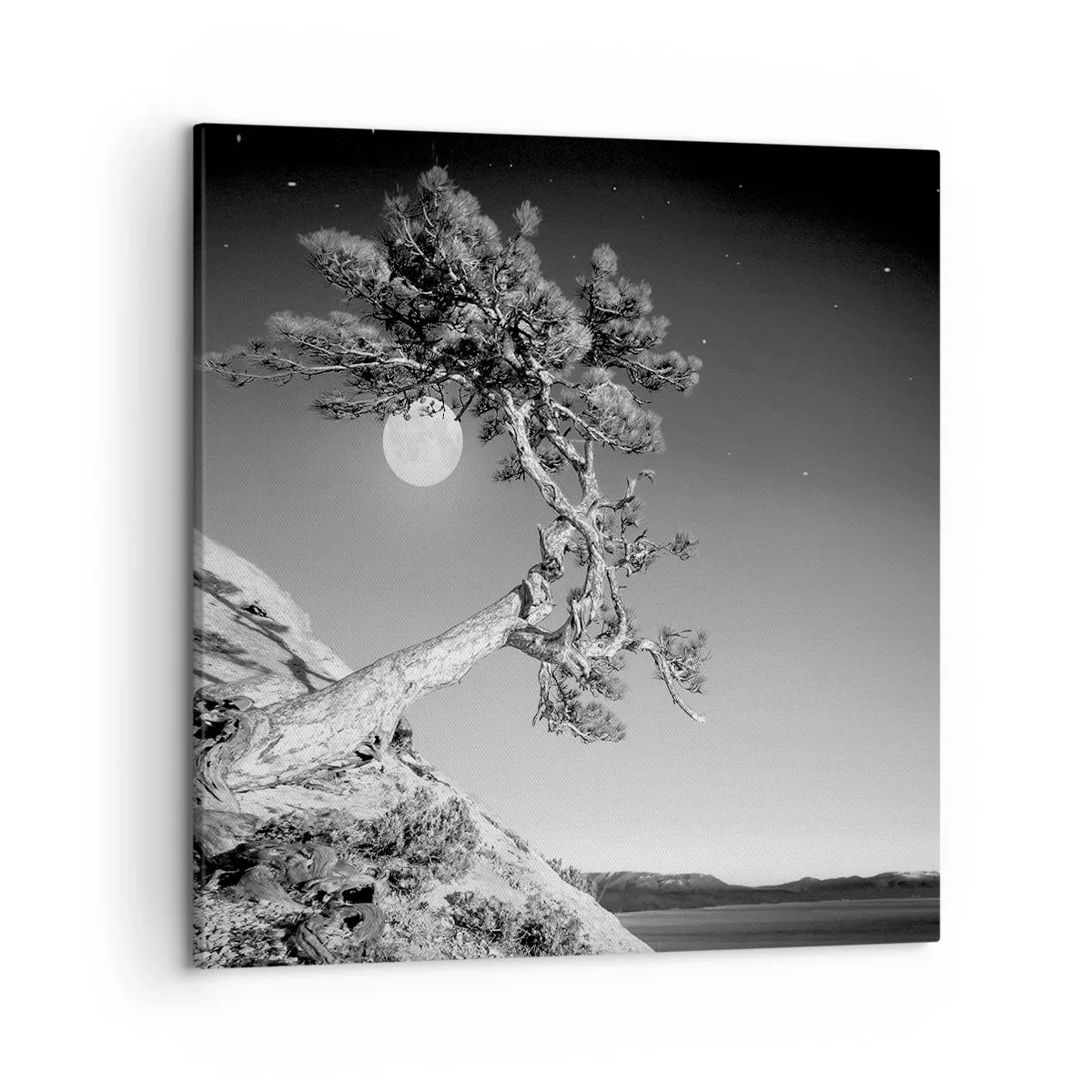 Impression sur toile - Image sur toile - Un combattant vainqueur - 50x50 cm