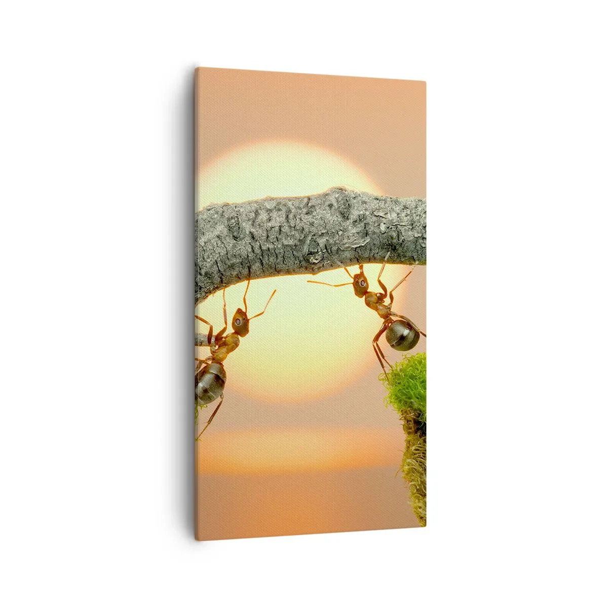 Impression sur toile - Image sur toile - La joie, travaille d'équipe - 55x100 cm