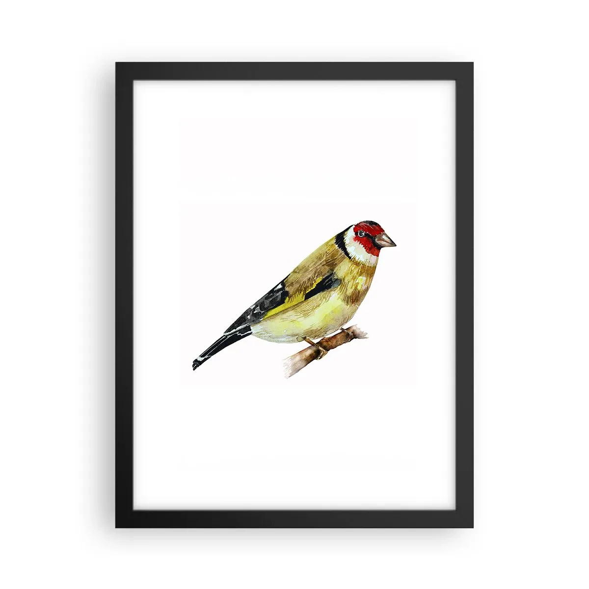 Affiche dans un cadre noir - Poster - Portrait d'oiseau - 30x40 cm