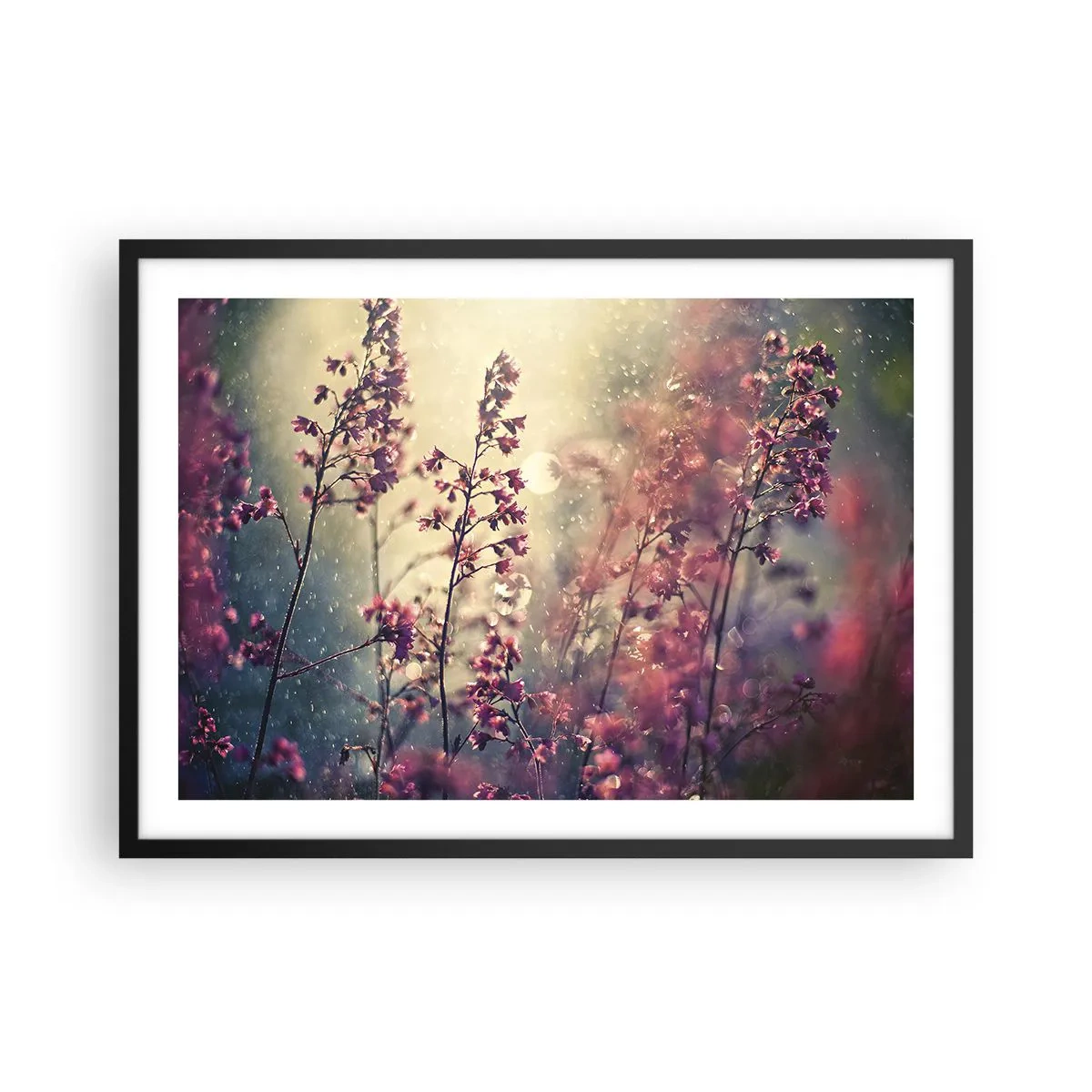 Affiche dans un cadre noir - Poster - Fleurs au soleil sur fond de nature - 70x50cm - Jardin secret - Décoration murale moderne pour le salon et la chambre ARTTOR