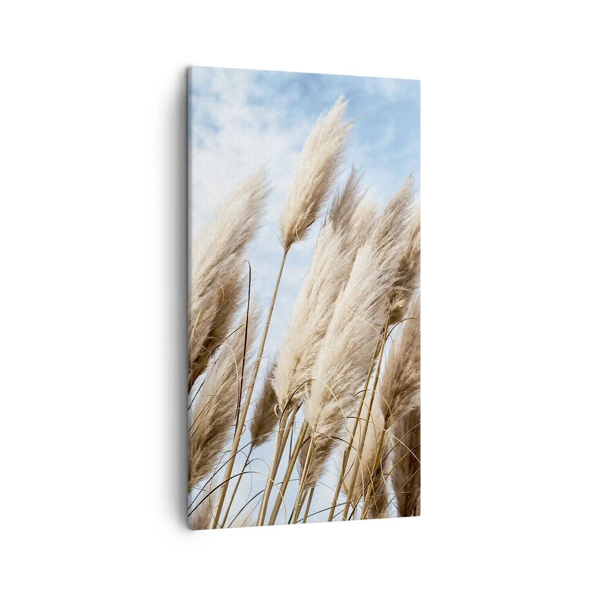 Impression sur toile - Image sur toile - Caresse ensoleillée et venteuse - 45x80 cm