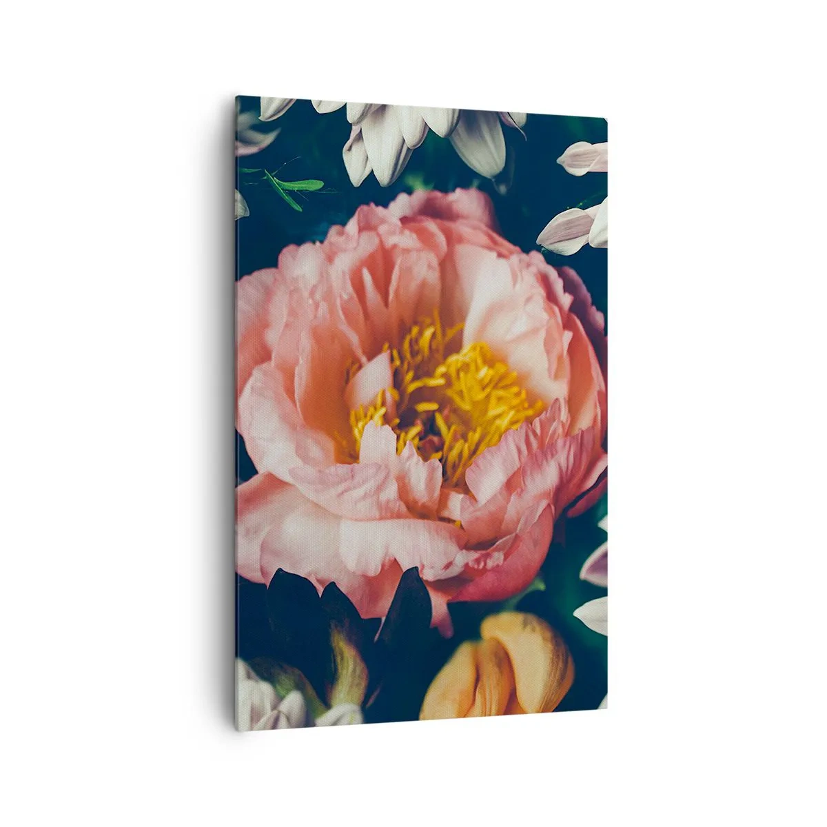 Impression sur toile - Image sur toile - Composition florale avec pivoines et chrysanthèmes sur fond sombre - 80x120cm - Splendeur baroque - Décoration murale moderne pour le salon et la chambre ARTTOR