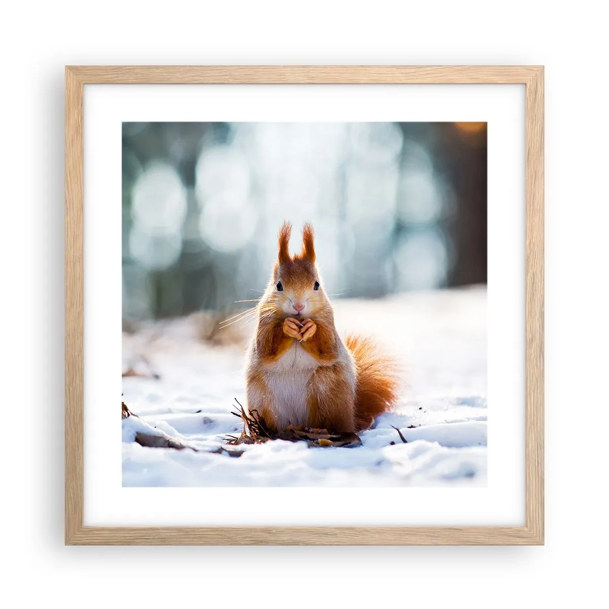 Affiche dans un chêne clair - Poster - Qu'est ce que tu regardes comme ça? - 40x40 cm