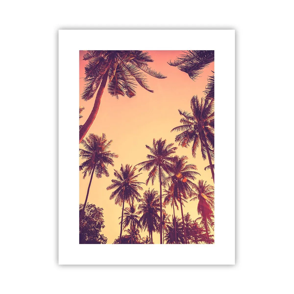 Affiche - Poster - Variation tropicale - 30x40 cm