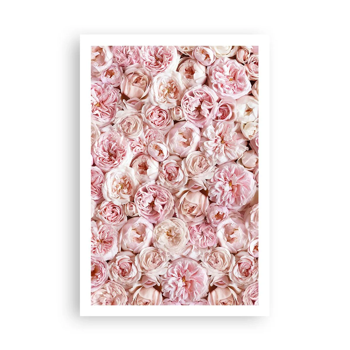 Affiche - Poster - Un lit de roses - 61x91 cm