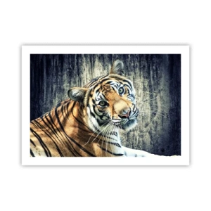 Affiche - Poster - Portrait dans les flots de lumière - 70x50 cm