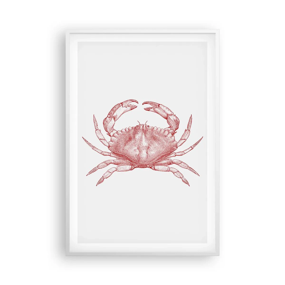 Affiche dans un cadre blanc - Poster - Le crabe des crabes - 61x91 cm