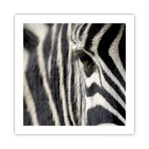 Affiche - Poster - Portrait en rayure - 50x50 cm