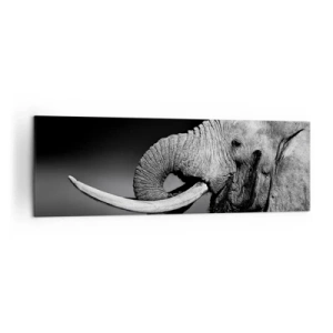 Impression sur toile - Image sur toile - Portrait noir et blanc d'un éléphant de profil - 160x50cm - Oui, c'est bon maintenant - Décoration murale moderne pour le salon et la chambre ARTTOR