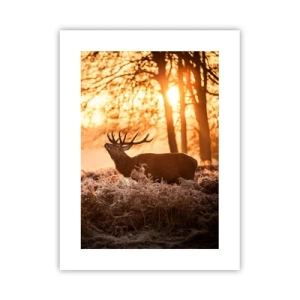 Affiche - Poster - Le rêve d'un chasseur - 30x40 cm