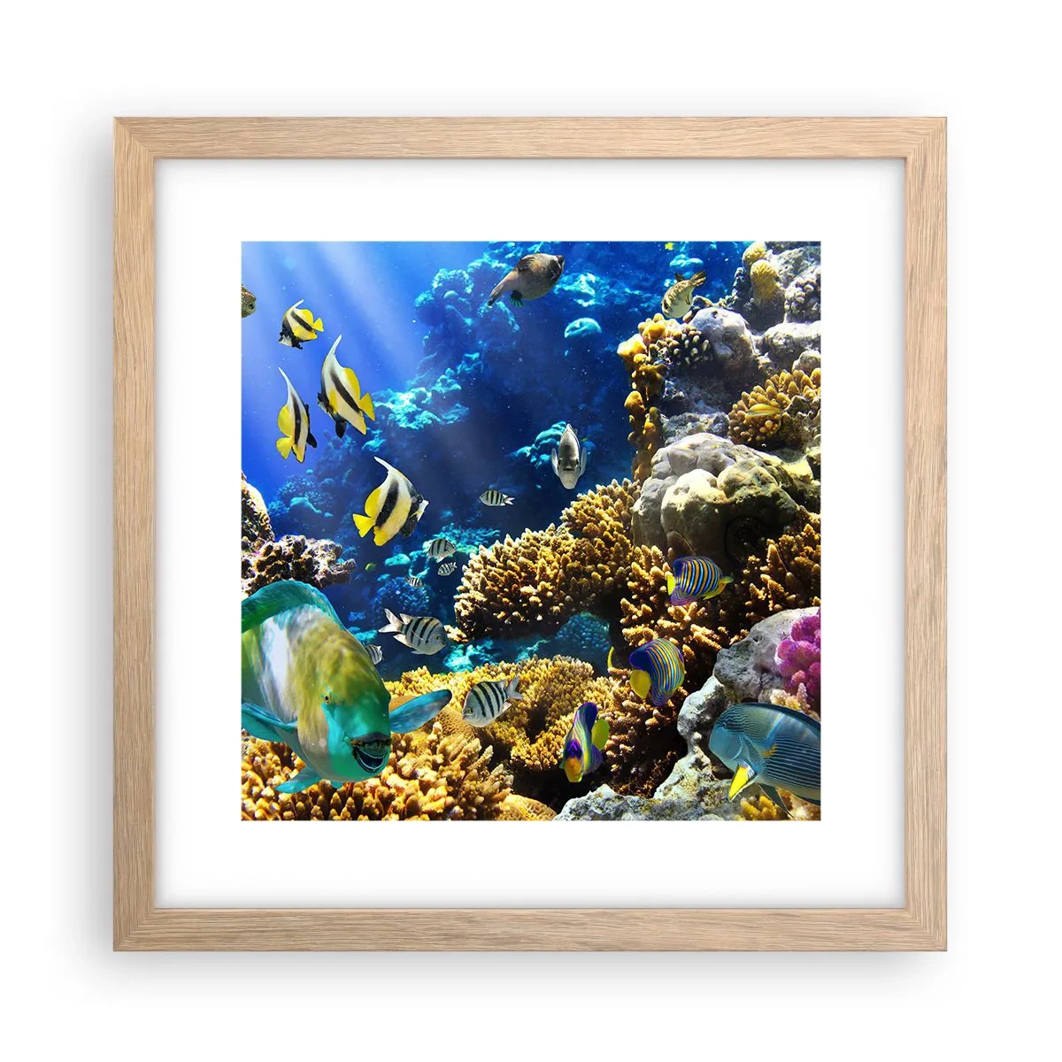 Affiche dans un chêne clair - Poster - Beaucoup de circulation sur la route des vacances - 30x30 cm