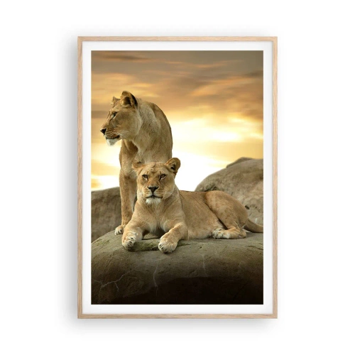 Affiche dans un chêne clair - Poster - Majesté royale - 70x100 cm