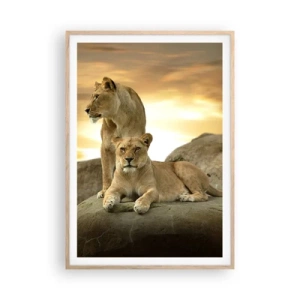Affiche dans un chêne clair - Poster - Majesté royale - 70x100 cm