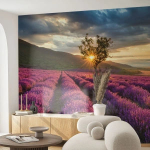 Papier Peint Photo Premium Sand - Arôme de couleur lilas - Paysage, Lavande, Provence - 250x175 cm